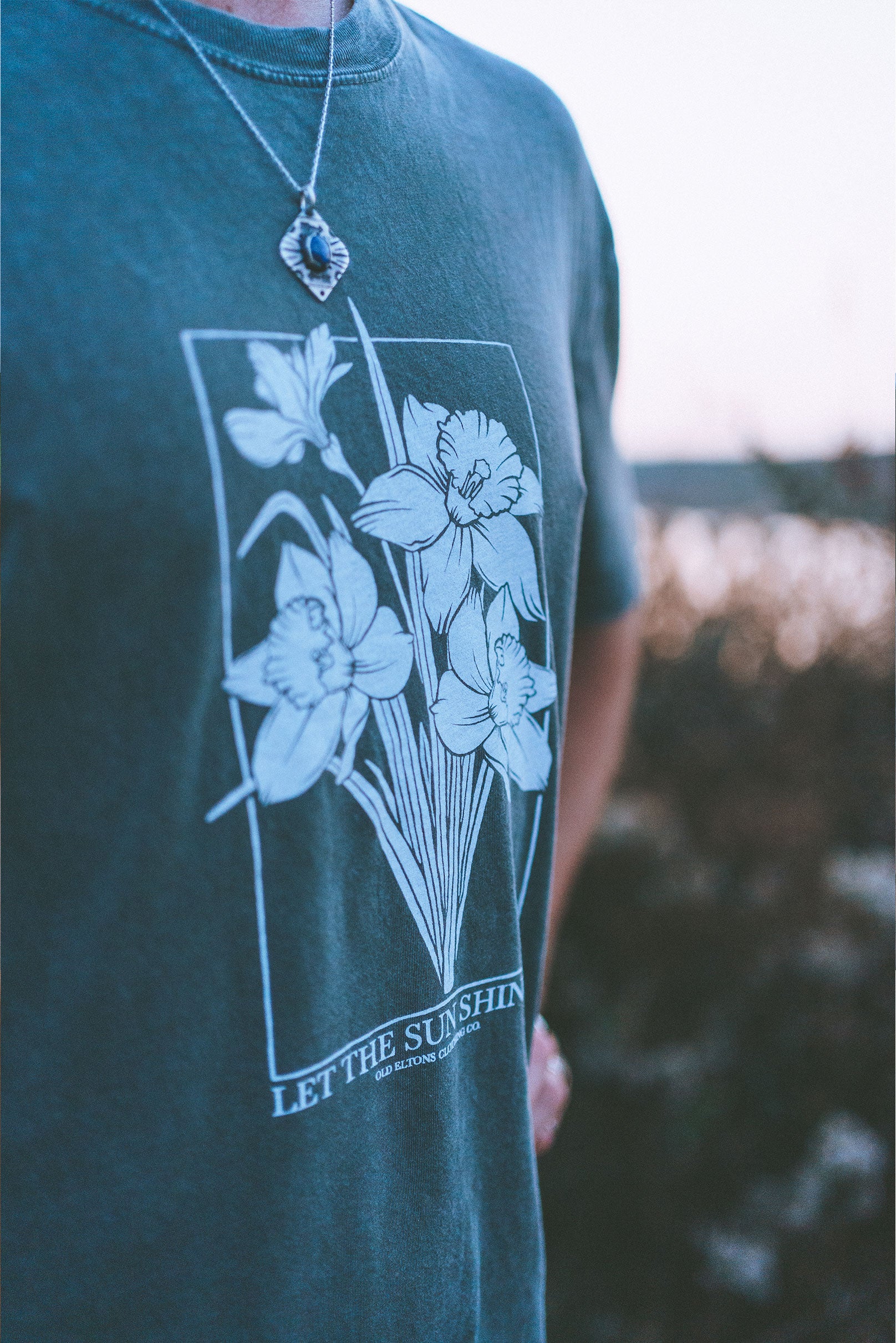 Let The Sun Shine In