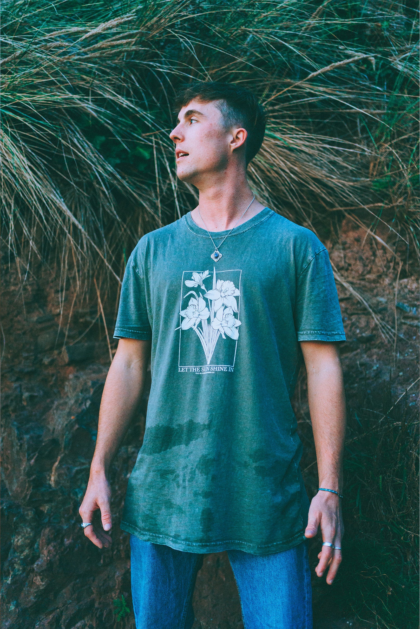 Let The Sun Shine In